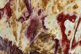 Colorful Polished Killaloe Opal Slab - Australia #353864-1